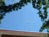 ob11-003.jpg (412207 byte)