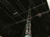 ob11-night.jpg (429320 byte)