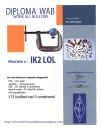 wab.jpg (85278 byte)